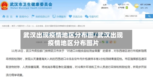 武汉出现疫情地区分布图/武汉出现疫情地区分布图片