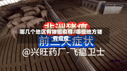哪几个地区有猪瘟疫情/哪些地方猪有瘟疫
