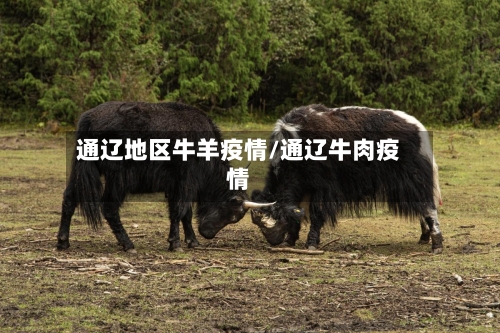 通辽地区牛羊疫情/通辽牛肉疫情