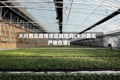 大兴西瓜疫情地区能吃吗(大兴西瓜产地在哪)