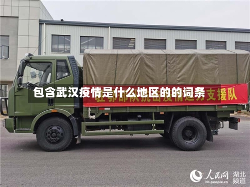 包含武汉疫情是什么地区的的词条