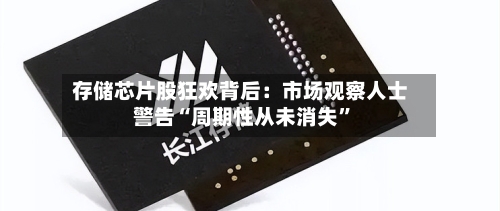 存储芯片股狂欢背后：市场观察人士警告“周期性从未消失”