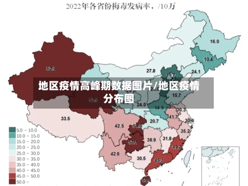 地区疫情高峰期数据图片/地区疫情分布图