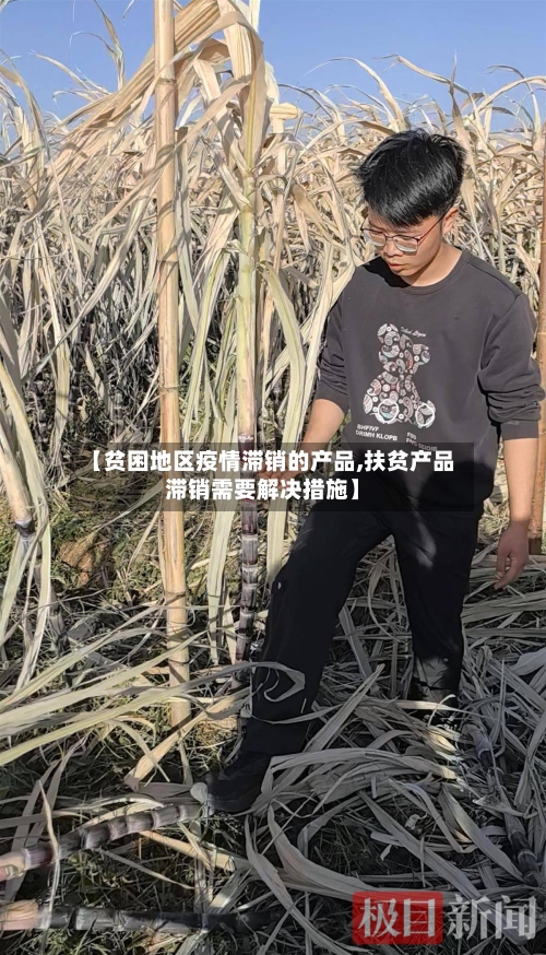 【贫困地区疫情滞销的产品,扶贫产品滞销需要解决措施】