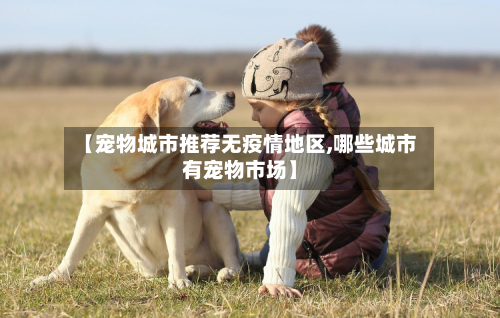 【宠物城市推荐无疫情地区,哪些城市有宠物市场】
