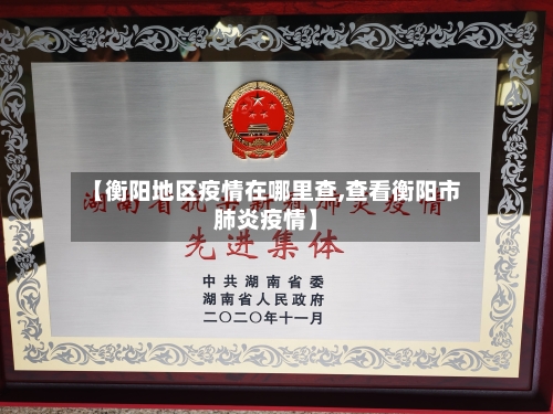 【衡阳地区疫情在哪里查,查看衡阳市肺炎疫情】