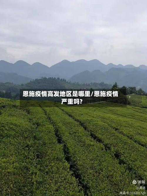 恩施疫情高发地区是哪里/恩施疫情严重吗?