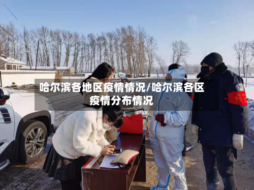 哈尔滨各地区疫情情况/哈尔滨各区疫情分布情况
