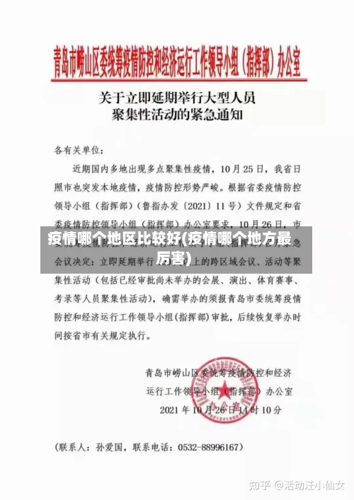 疫情哪个地区比较好(疫情哪个地方最厉害)