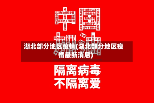 湖北部分地区疫情(湖北部分地区疫情最新消息)