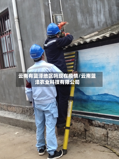 云南有蓝泽地区吗现在疫情/云南蓝泽农业科技有限公司