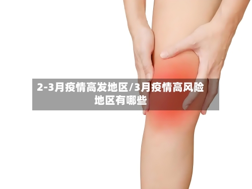2-3月疫情高发地区/3月疫情高风险地区有哪些
