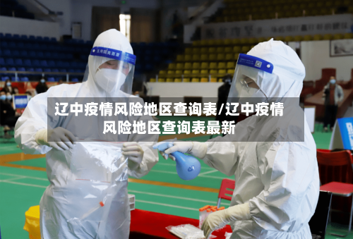 辽中疫情风险地区查询表/辽中疫情风险地区查询表最新